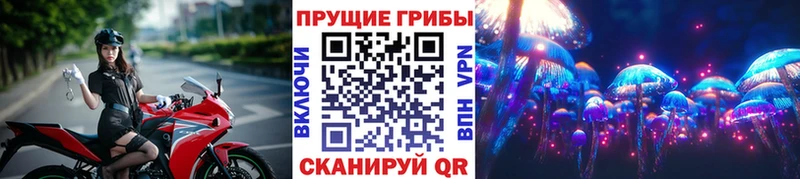 Купить где  Партизанск  Псилоцибиновые грибы мухоморы 